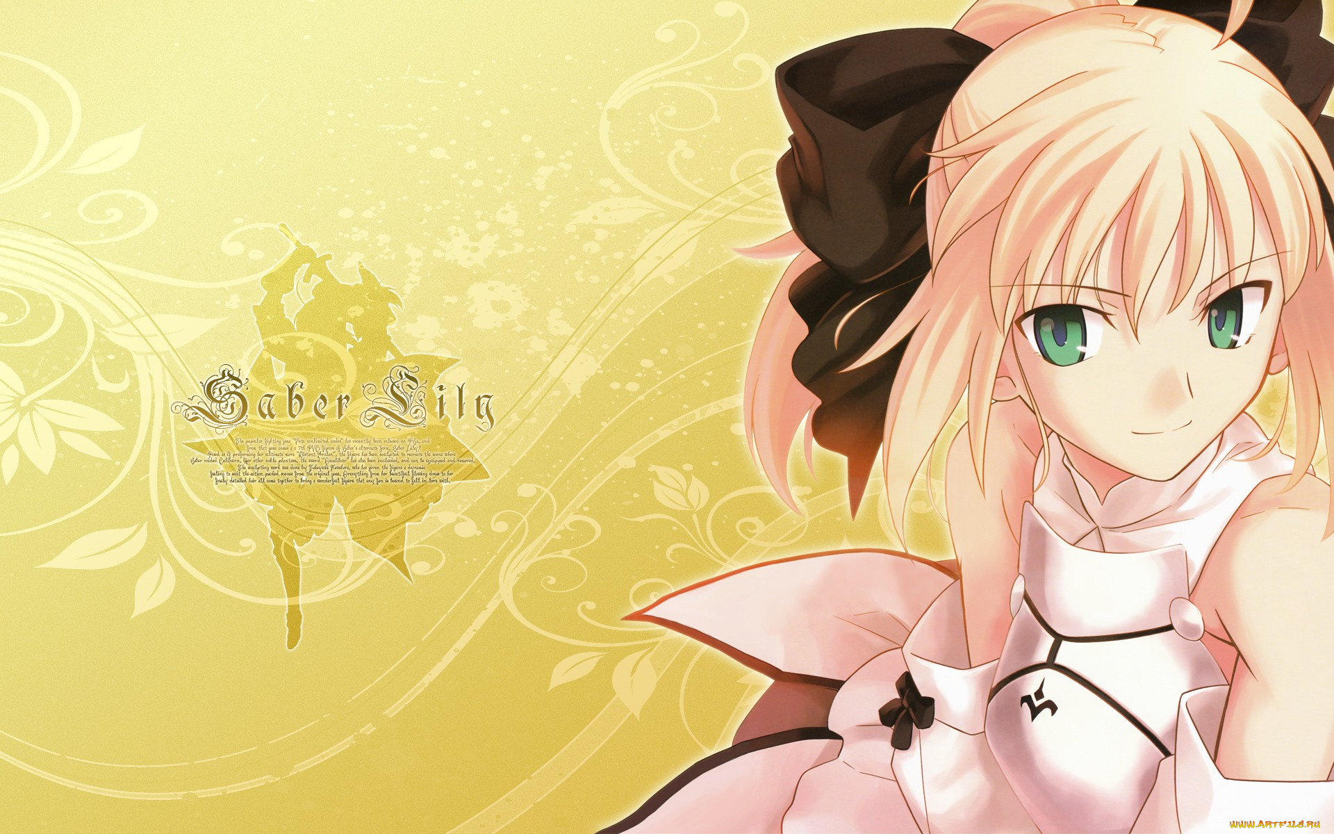 , fate, stay, night, 